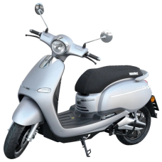 Hecht Citis Silver