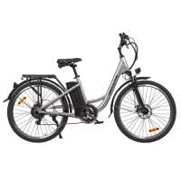 Maxxter City 2.0 (Silver)