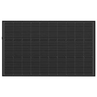 EcoFlow 30*100 Solar Panel