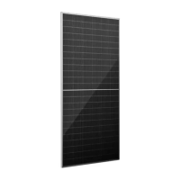 Risen Solar RSM132-8-710BNDG 710 Вт