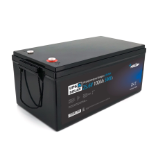 Merlion LiFePO4 25.6V 100AH ​​(8S2P/BMS-100A)