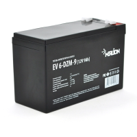 Merlion EV 6-DZM-9 12V 9Ah