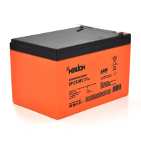 Merlion AGM GP12120F2 Premium 12 V 12 Ah
