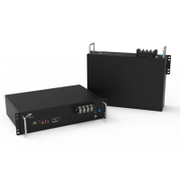 Ritar LiFePO4 25,6V 100Ah 2560Wh BMS100