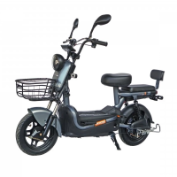 Maxxter E600 (Silver)