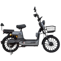 SPARK RIDER 14 (Сірий)