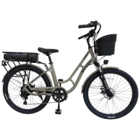 SPARK E-CITY LITE 17 (сірий)