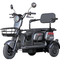 Maxxter ANT LI (Gray)